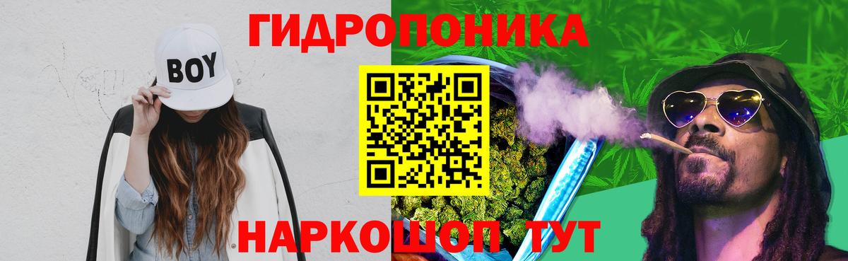 Канабис план Сегежа